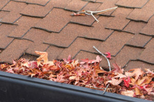 leaves twigs on roof remove debris from exteriors home